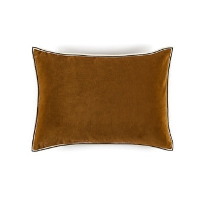 COUSSIN Aristote - Image 18