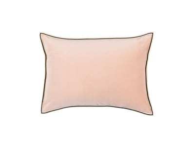COUSSIN Aristote - Image 20