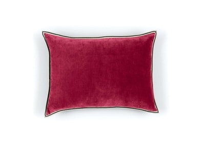 COUSSIN Aristote - Image 21