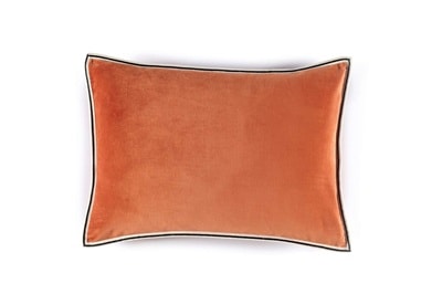 COUSSIN Aristote - Image 22