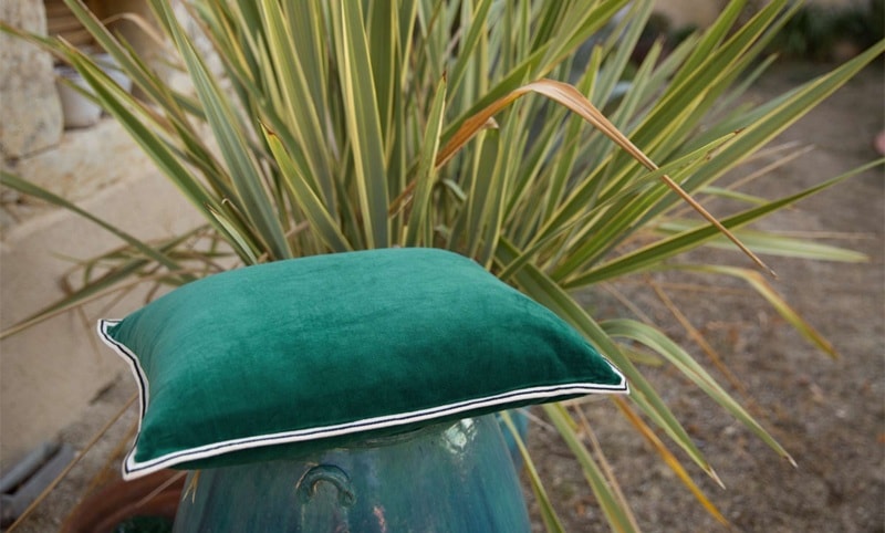 COUSSIN Aristote - Image 4