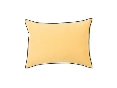 COUSSIN Aristote - Image 5