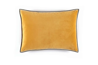 COUSSIN Aristote - Image 7