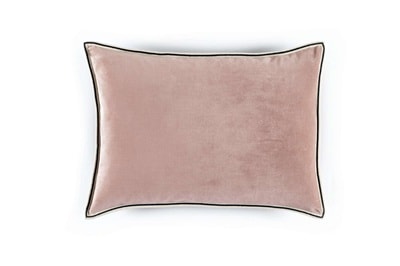 COUSSIN Aristote - Image 10