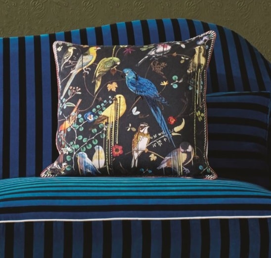 COUSSIN BIRD SINFONIA CREPUSCULE - Image 5