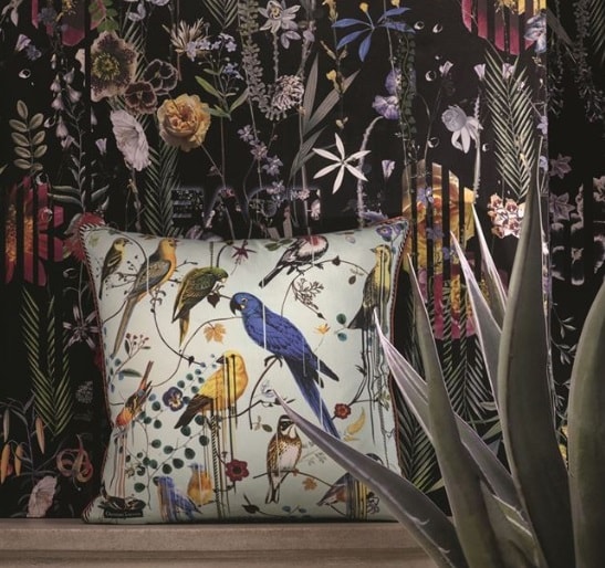 COUSSIN BIRD SINFONIA CREPUSCULE - Image 6