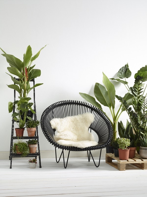 Fauteuil Cruz cocoon avec son coussin - Image 4