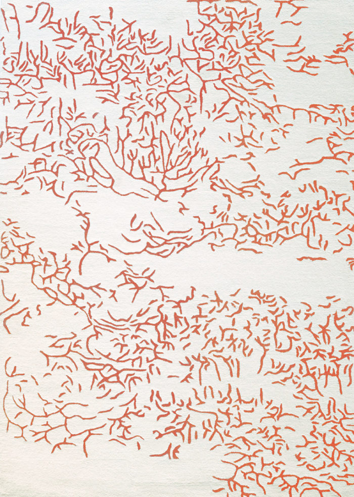 TAPIS Nature Toulemonde Bochart – Image 3