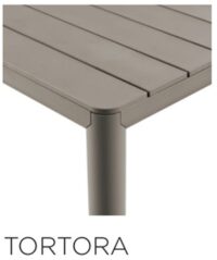 TORTORA