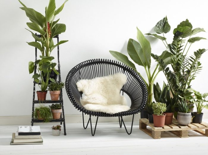 Fauteuil Cruz cocoon Vincent Sheppard avec son coussin – Image 2