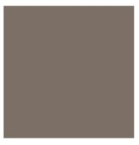 fenix gris